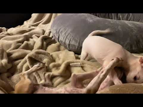 Tony Stark meets pepper Potts