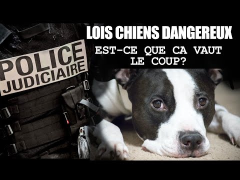 LAW AGAINST DANGEROUS DOGS, ALL THE DETAILS.