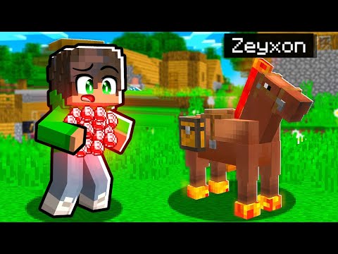 10 Modi per RUBARE i RUBINI al Tuo AMICO in Minecraft