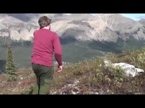 Rockstomper's Preview