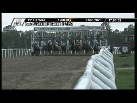 230603 C 11 - KING CASTLE - SINT FLORIDA