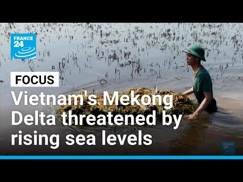 Vietnam's Mekong Delta threatened by rising sea levels • FRANCE 24 English