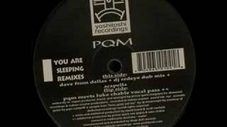 PQM - You Are Sleeping (PQM Meets Luke Chable Vocal Pass)
