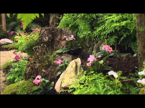 Documentary about the Royal Greenhouses of Laeken part 2