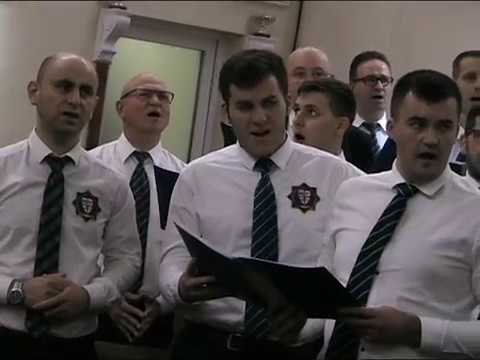 APC  Bihor -  E puterea singelui