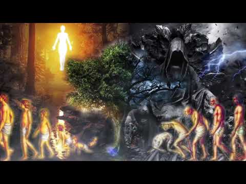Дебора-Жизнь бесСмертия