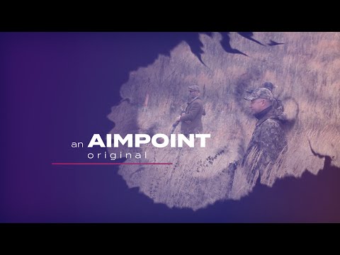 SWEDISH DRIVEN HUNT - COMBO HUNT IN SOUTHERN SWEDEN