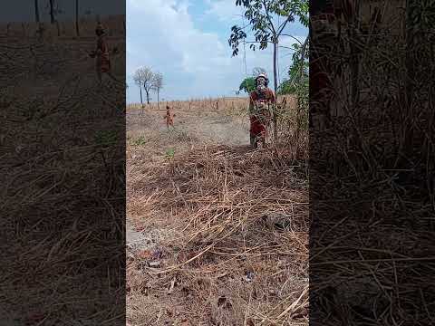 roçador Araguaia divisa Goiás x Tocantins talismã