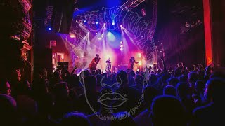 Avelino - KOKO Nights [Audio]