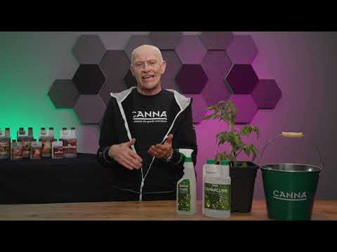 CANNA Masterclass – How to spray plants