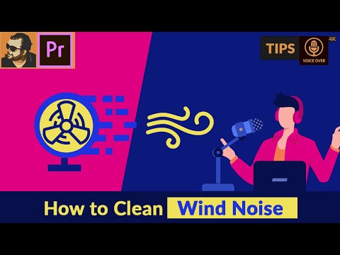 How to Remove Wind Noise using Premiere Pro | Short Tips