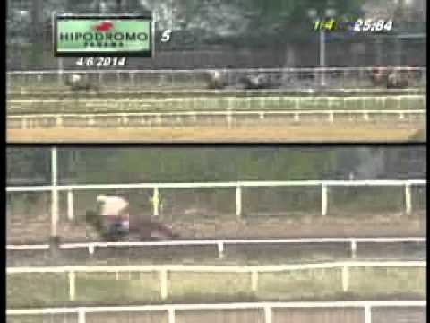 5TA CARRERA DOMINGO 6 DE ABRIL 2014 HPR