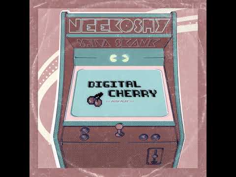 Neekoshy & Shiva Skank - Politricks