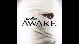 Download lagu Awake and Alive by Skillet... mp3