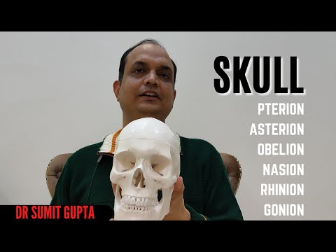 SKULL BONY POINT : Pterion || Asterion || Gonion || Nasion || Obelion ||