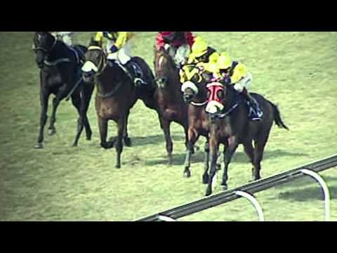 FISANI : DEATH, TAXES AND SUMMERHILL (2011)