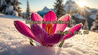 Sadaka malı eksiltmez.