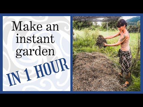 Instant garden from start to finish | Using bokashi solids