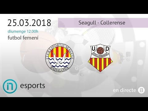 Futbol Femení // Seagull - Collerense