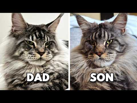 Reunited After 1 Year!