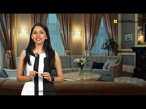 Star Paradise Project Video 1