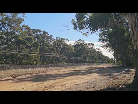 1AM8 JBRE The Overland to Melbourne,  12/5/24, Stawell West