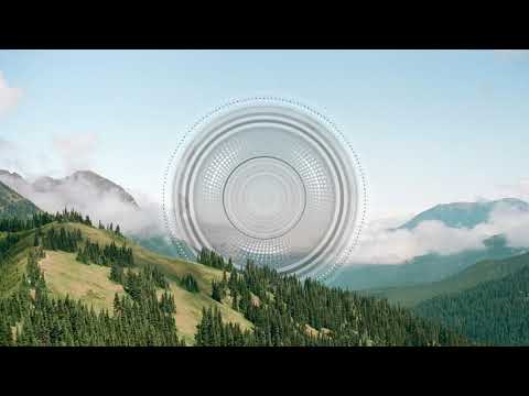 Yarni, Mehlic - Dolphin [You Plus One]