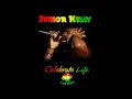 Junior Kelly - Celebrate Life