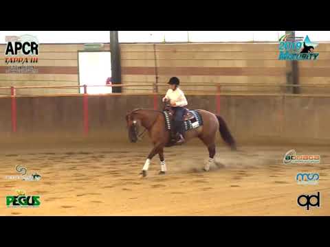 MATURITY IRHA & NRHA APCR RIDE JULY RIDE 2019 - SERASIO GIULIA & IMA BO SUN TOO score 134,5