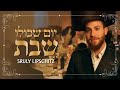 שרולי ליפשיטץ - יום שכולו שבת | Sruly Lipschitz -Yoim Shekilo Shabbos Music Video