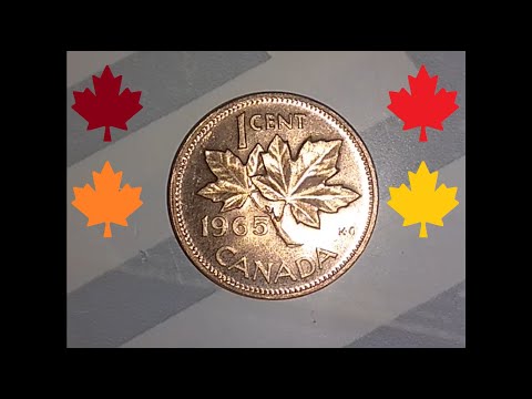 GREAT CONDITION 1965 Canadian Maple Cent (Found in Change!)