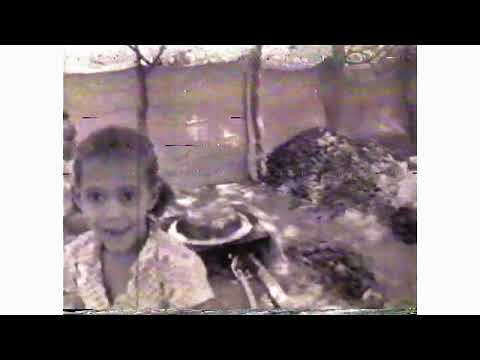 1978: Eritrean Liberation Front, Mereb Wars, ELF Mass Organizations