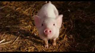 sarah Mclachlan ordinary miracle from  charlotte&#39;s web ost