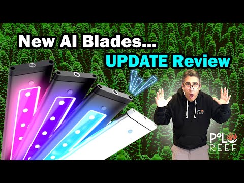 4-month review of the Blade Lights. NUMBERS DON'T LIE!