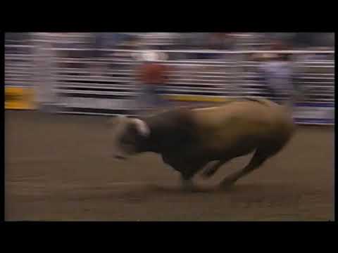 Red Wolf bucks Owen Washburn - 97 PBR Nashville
