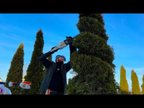 No One Expected This Spiral ShapeOSA Topiary