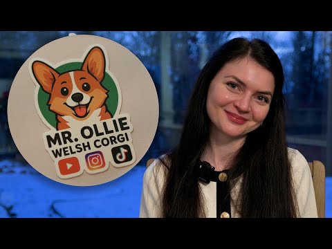 Meet Mr. Ollie – a tiny dog with a huge following - YouTube