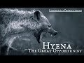 Hyena The Great Opportunist Teaser Trailer
