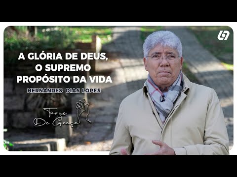 Fazei tudo para a glória de Deus | Hernandes Dias Lopes | Toque de graça