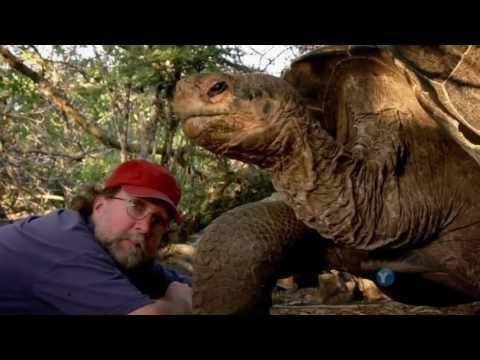 Evolution - What Darwin Never Knew - NOVA Full Documentary HD