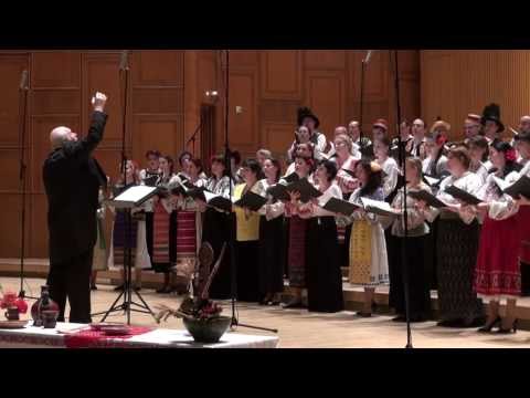 Gavriil MUSICESCU - Dor, dorule