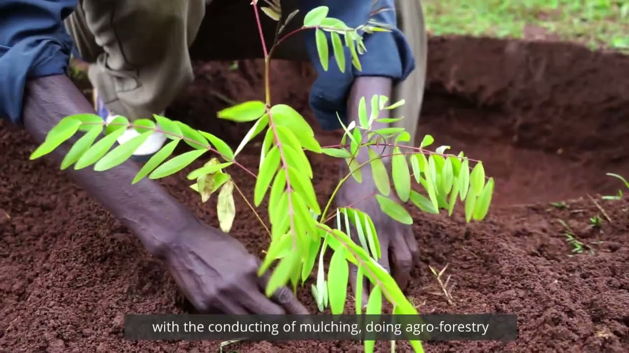Promoting Sustainable Partnerships for Empowered Resilience (PROSPER) Programme