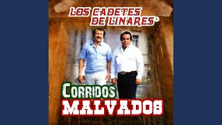 El Retorno de Chito Cano