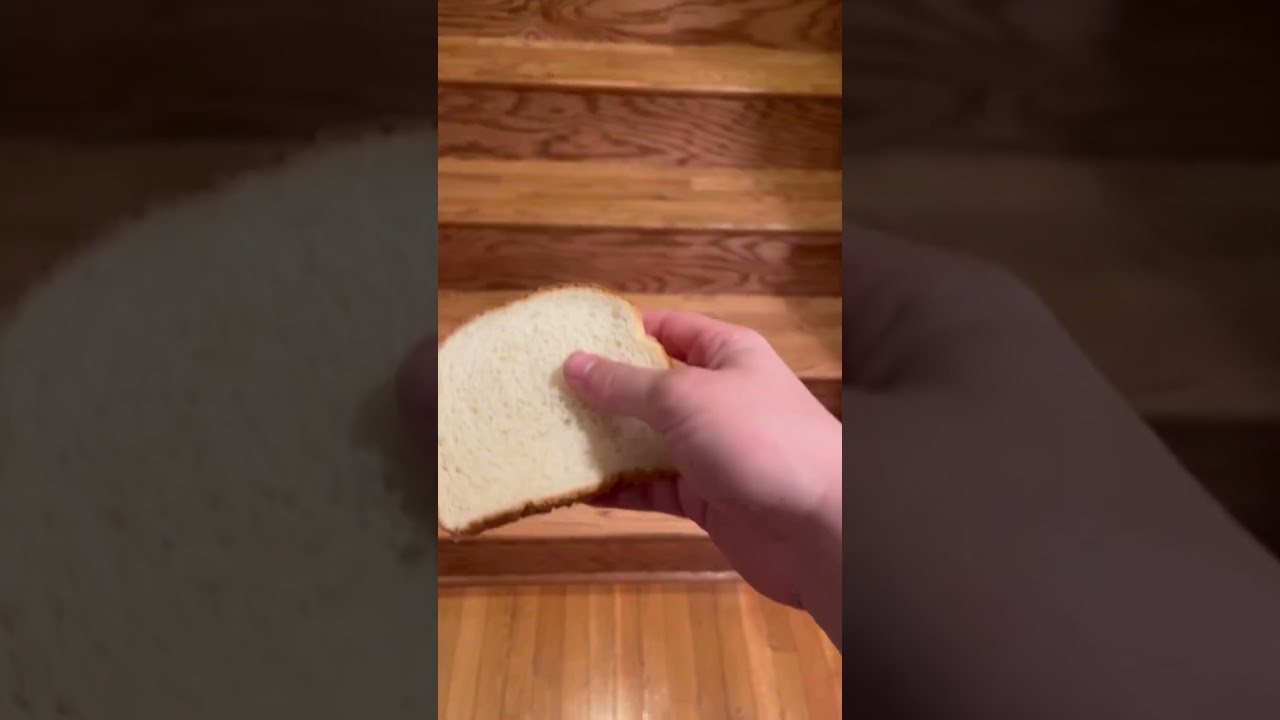 Day 5 Of dropping bread #bread #breadman #funny