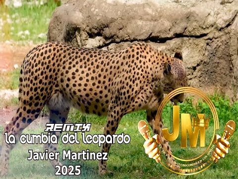LA CUMBIA DEL LEOPARDO REMIX (Javier Martinez) 2025