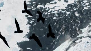 NoRestForTheKids - Running Away (Official Music Video)