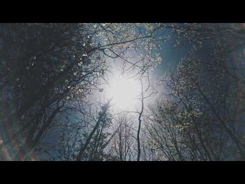 Niko Schwind, Lil Magdalene - Over The Trees (Oliver Koletzki Remix)
