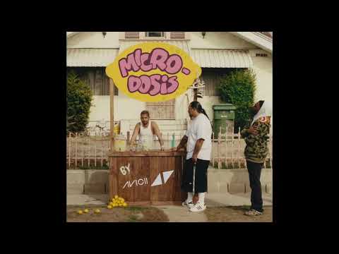 Memorias x Levels Mashup [Mora, Jhay Cortez x Avicii]