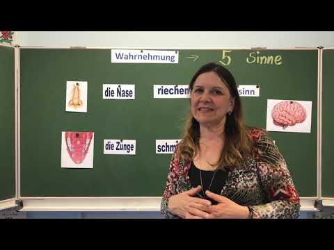 Der Geruchssinn und der Geschmackssinn - die Nase und die Zunge