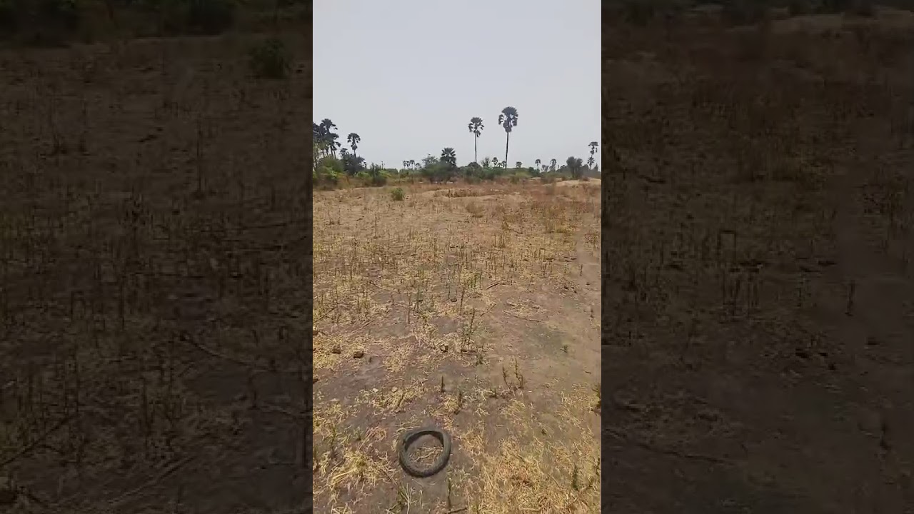 Verger 3ha à vendre à Ndianda Ngeuniène sur la route de joal video thumbnail